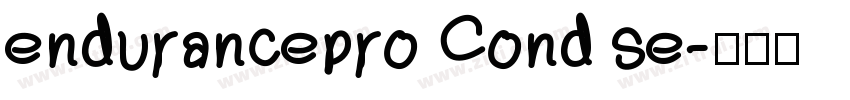 endurancepro Cond se字体转换